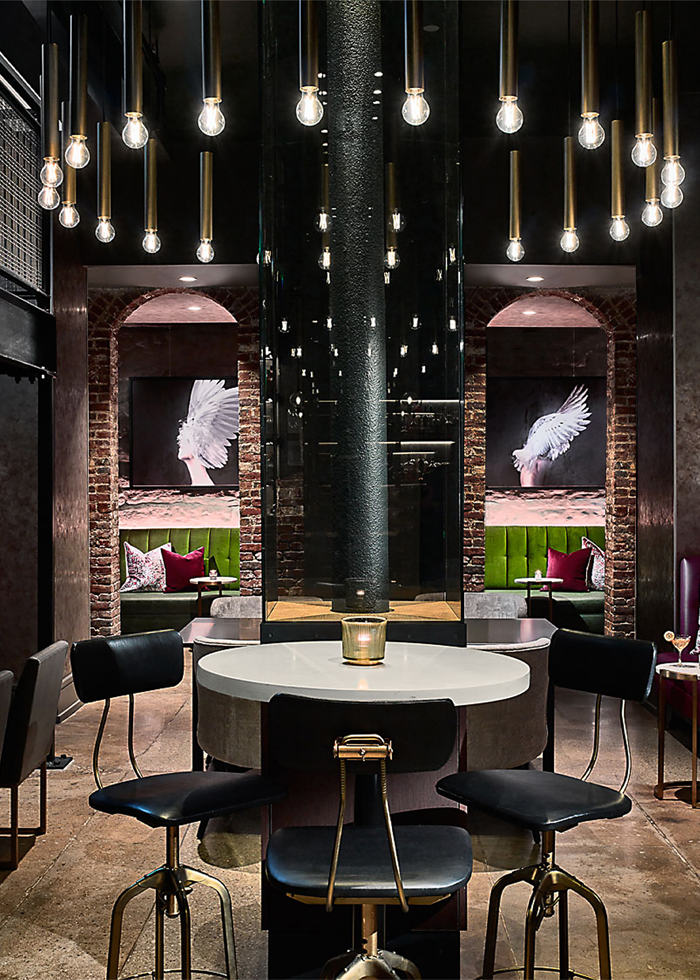 Wild Swann_Grady (Updated).png